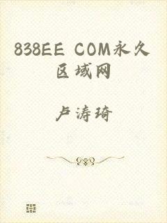 838EE COM永久区域网